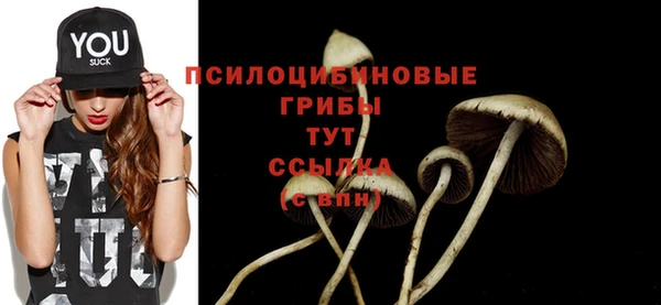 2c-b Строитель