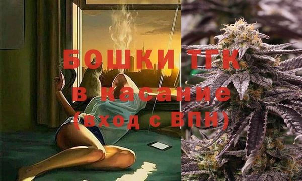 крисы Нея