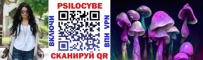 Галлюциногенные грибы Psilocybine cubensis  купить наркотики сайты  Покровск 