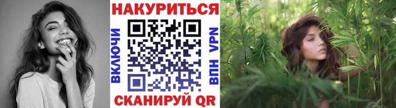 Канабис SATIVA & INDICA  где купить наркоту  ОМГ ОМГ вход  Покровск 